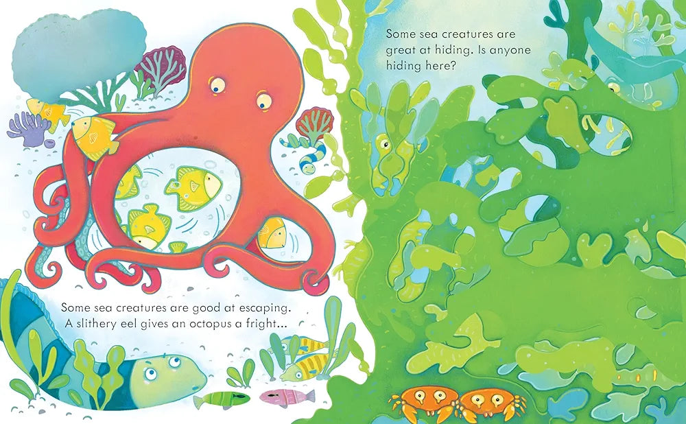 Peek Inside the Sea: A Lift-the-Flap Book