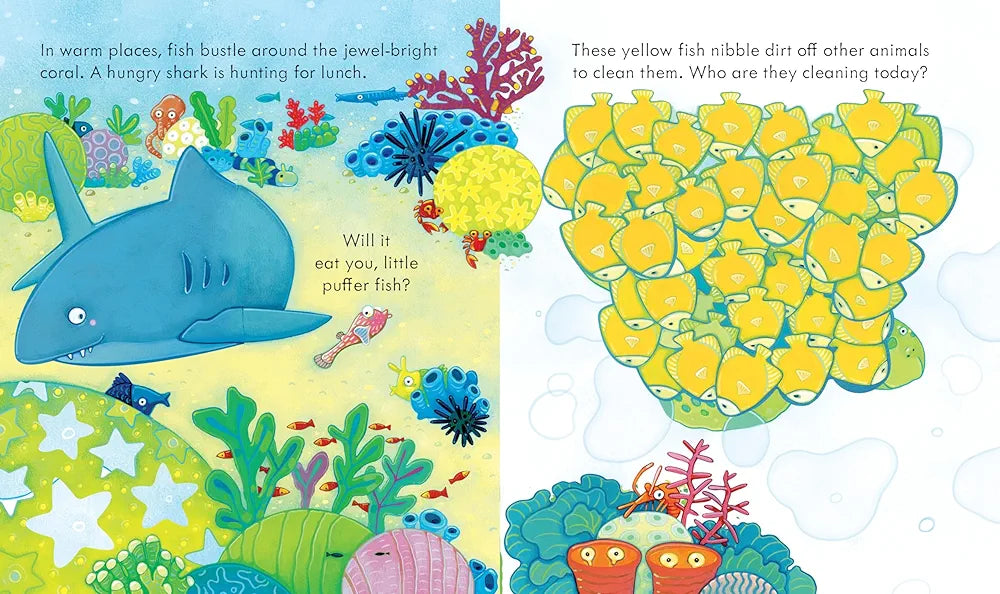 Peek Inside the Sea: A Lift-the-Flap Book