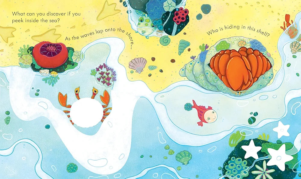 Peek Inside the Sea: A Lift-the-Flap Book